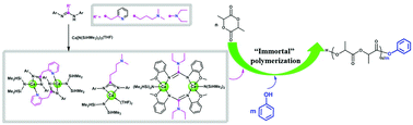 Graphical abstract: Alkaline earth metal complexes stabilized by amidine and guanidine ligands: synthesis, structure and their catalytic activity towards polymerization of rac-lactide