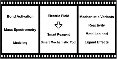 Graphical abstract: Oriented external electric fields as mimics for probing the role of metal ions and ligands in the thermal gas-phase activation of methane