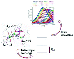 Graphical abstract: Slow magnetization dynamics in Co(ii)/Co(iii) triethanolamine/pivalate complexes