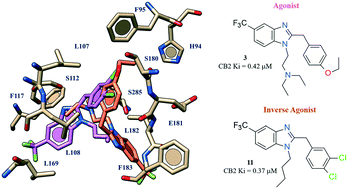 Graphical abstract: Exploring the effectiveness of novel benzimidazoles as CB2 ligands: synthesis, biological evaluation, molecular docking studies and ADMET prediction