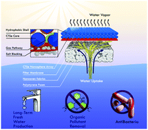 Graphical abstract: A general salt-resistant hydrophilic/hydrophobic nanoporous double layer design for efficient and stable solar water evaporation distillation