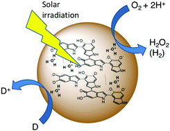 Graphical abstract: Aqueous photo(electro)catalysis with eumelanin thin films