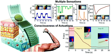 Graphical abstract: Adaptable polyionic elastomers with multiple sensations and entropy-driven actuations for prosthetic skins and neuromuscular systems