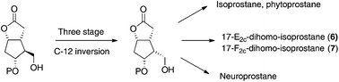 Graphical abstract: Stereoselective preparation of key intermediates for the synthesis of iso-, neuro- and phyto-prostane family members: inaugural asymmetric synthesis of 17-E2c-dihomo- and 17-F2c-dihomo-isoprostanes