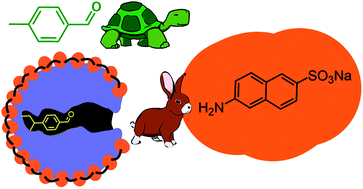 Graphical abstract: Binding-promoted chemical reaction in the nanospace of a binding site: effects of environmental constriction