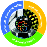 Graphical abstract: Defect electrocatalytic mechanism: concept, topological structure and perspective