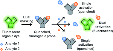 Graphical abstract: The development of a novel AND logic based fluorescence probe for the detection of peroxynitrite and GSH