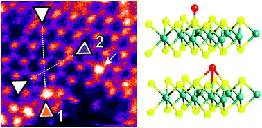 Graphical abstract: Transition metal atom doping of the basal plane of MoS2 monolayer nanosheets for electrochemical hydrogen evolution