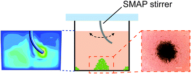 Graphical abstract: A stirring system using suspended magnetically-actuated pillars for controlled cell clustering
