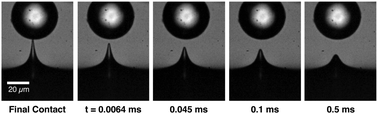 Graphical abstract: Singular dynamics in the failure of soft adhesive contacts