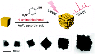 Graphical abstract: Size-controllable and uniform gold bumpy nanocubes for single-particle-level surface-enhanced Raman scattering sensitivity