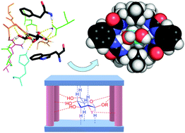 Graphical abstract: Biomimetic carbohydrate recognition