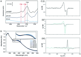 Graphical abstract: Dioxygen controls the nitrosylation reactions of a protein-bound [4Fe4S] cluster