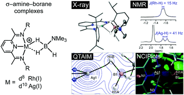 Graphical abstract: A d10 Ag(i) amine–borane σ-complex and comparison with a d8 Rh(i) analogue: structures on the η1 to η2:η2 continuum