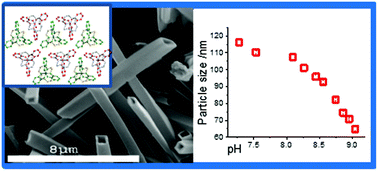 Graphical abstract: Azamacrocycles and tertiary amines can be used to form size tuneable hollow structures or monodisperse oxide nanoparticles depending on the ‘M’ source