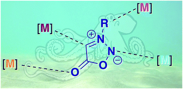 Graphical abstract: Coordination complexes involving sydnones as ligands