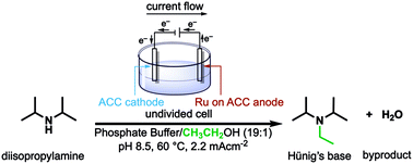 Graphical abstract: Electroactivated alkylation of amines with alcohols via both direct and indirect borrowing hydrogen mechanisms