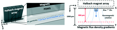 Graphical abstract: Measurement of the magnetic susceptibility of subtle paramagnetic solutions using the diamagnetic repulsion of polymer microparticles