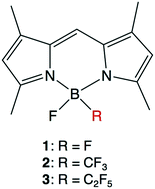 Graphical abstract: Photophysical properties and application in live cell imaging of B,B-fluoro-perfluoroalkyl BODIPYs