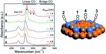 Graphical abstract: Preference for low-coordination sites by adsorbed CO on small platinum nanoparticles