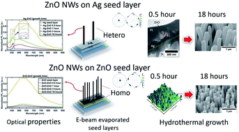 Graphical abstract: Comparison of ZnO nanowires grown on e-beam evaporated Ag and ZnO seed layers