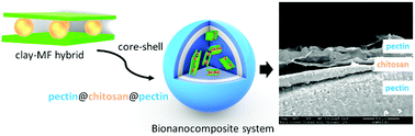 Graphical abstract: Chitosan and pectin core–shell beads encapsulating metformin–clay intercalation compounds for controlled delivery