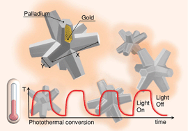 Graphical abstract: Heat generation by branched Au/Pd nanocrystals: influence of morphology and composition