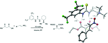 Graphical abstract: Transition state analysis of an enantioselective Michael addition by a bifunctional thiourea organocatalyst