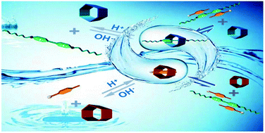 Graphical abstract: Acid/base- and base/acid-switchable complexation between anionic-/cationic-pillar[6]arenes and a viologen ditosylate salt