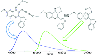 Graphical abstract: Excited-state intramolecular proton transfer in a bioactive flavonoid provides fluorescence observables for recognizing its engagement with target proteins