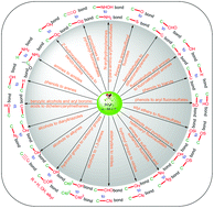 Graphical abstract: Applications of sulfuryl fluoride (SO2F2) in chemical transformations