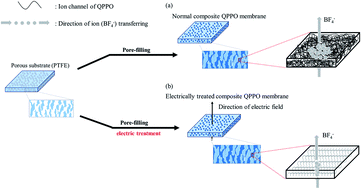 Graphical abstract: Fabrication of a composite anion exchange membrane with aligned ion channels for a high-performance non-aqueous vanadium redox flow battery