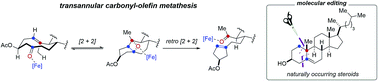 Graphical abstract: Catalytic, transannular carbonyl-olefin metathesis reactions