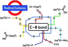 Graphical abstract: New avenues for C–B bond formation via radical intermediates