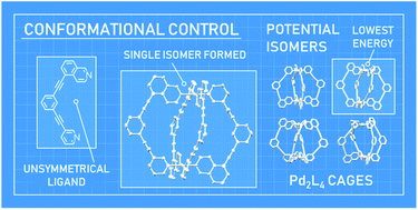 Graphical abstract: Conformational control of Pd2L4 assemblies with unsymmetrical ligands