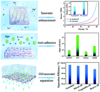 Graphical abstract: Seawater-enhanced tough agar/poly(N-isopropylacrylamide)/clay hydrogel for anti-adhesion and oil/water separation