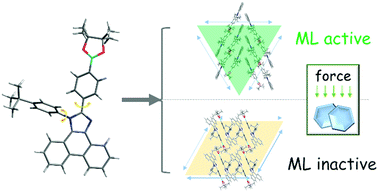 Graphical abstract: Phenanthroimidazole derivatives with minor structural differences: crystalline polymorphisms, different molecular packing, and totally different mechanoluminescence