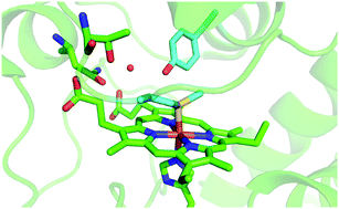 Graphical abstract: Met80 and Tyr67 affect the chemical unfolding of yeast cytochrome c: comparing the solution vs. immobilized state