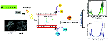 Graphical abstract: A novel green approach based on ZnO nanoparticles and polysaccharides for photocatalytic performance