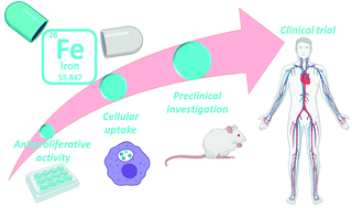 Graphical abstract: Recent advances in iron-complexes as drug candidates for cancer therapy: reactivity, mechanism of action and metabolites