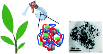 Graphical abstract: Smart nanocomposites of chitosan/alginate nanoparticles loaded with copper oxide as alternative nanofertilizers