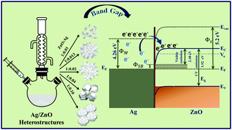 Graphical abstract: Spectral characteristics upon harvesting plasmonic hot electrons at the Ag/ZnO heteromicrostructures