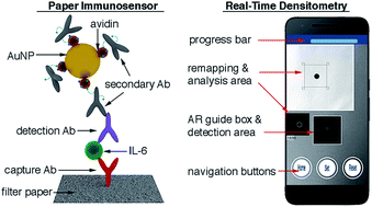 Graphical abstract: Nanoparticle-based mobile biosensors for the rapid detection of sepsis biomarkers in whole blood