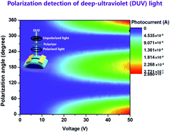 Graphical abstract: Polarization detection in deep-ultraviolet light with monoclinic gallium oxide nanobelts