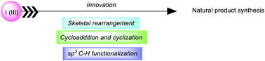 Graphical abstract: Innovation of hypervalent(iii) iodine in the synthesis of natural products