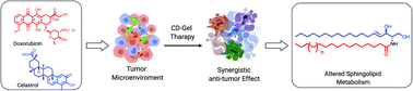 Graphical abstract: Hydrogel-mediated delivery of celastrol and doxorubicin induces a synergistic effect on tumor regression via upregulation of ceramides