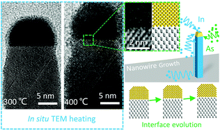 Graphical abstract: In situ TEM observation of the vapor–solid–solid growth of <00 [[1 with combining macron]] > InAs nanowires