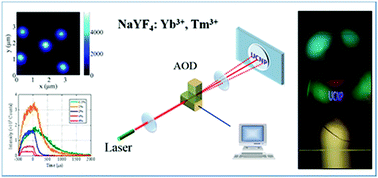 Graphical abstract: Video-rate upconversion display from optimized lanthanide ion doped upconversion nanoparticles