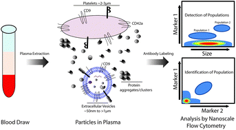 Graphical abstract: Nanoscale flow cytometry for immunophenotyping and quantitating extracellular vesicles in blood plasma