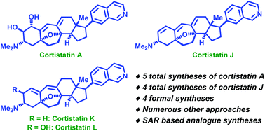 Graphical abstract: Synthetic approaches towards cortistatins: evolution and progress through its ages